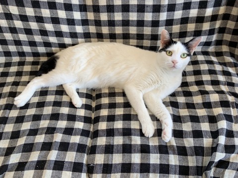 DCFA17B8-66EB-4E83-85BC-7BF13D4D3D4E