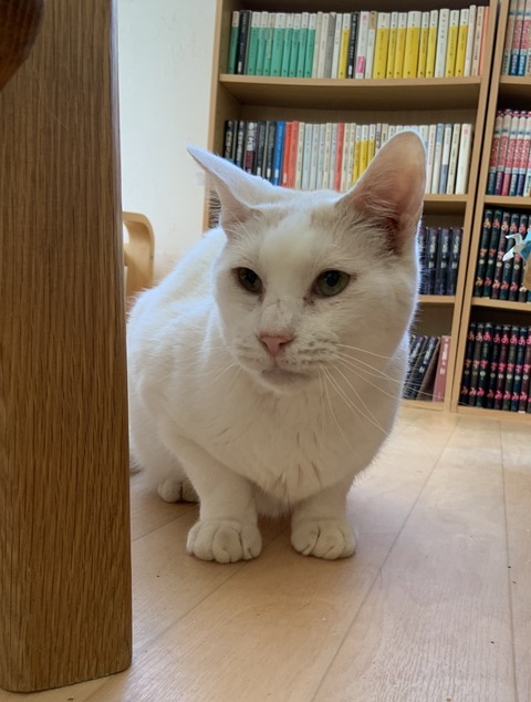 95F8EEB2-B033-473E-B554-630B2354B704