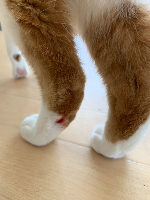 14377097-F615-47B7-9BB0-99E99E2C2697