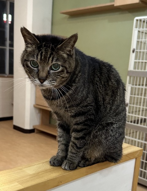 22BC1331-6E11-4D13-82FC-747563066CA3