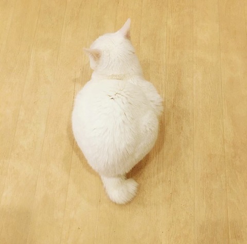 03AEA968-87D3-41B7-B800-24DEC21FFFB7