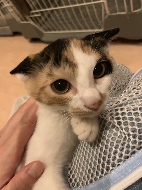 12489FD9-57D8-442E-A72F-EEC611A0F3FC