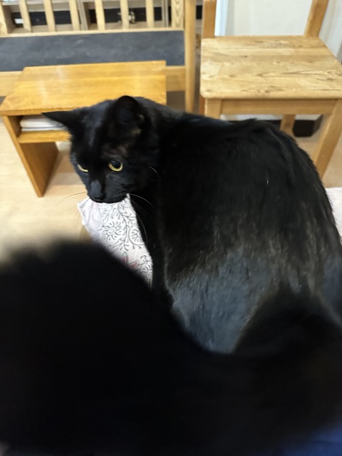 73541BED-9DA4-4C3A-836A-F85B8FE060A5