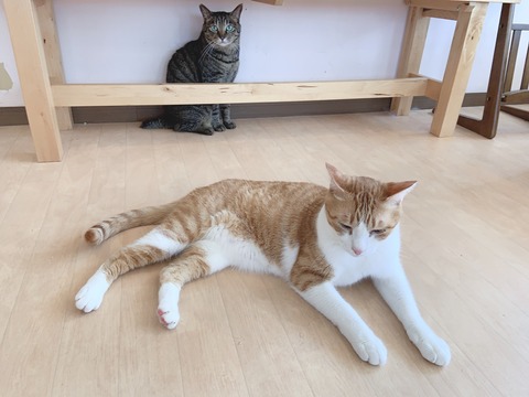 CA5696BE-D1D8-4805-8122-F56BFDFEEA03