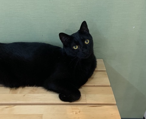 8FC68EBE-F8C7-413A-9145-295C56055DED