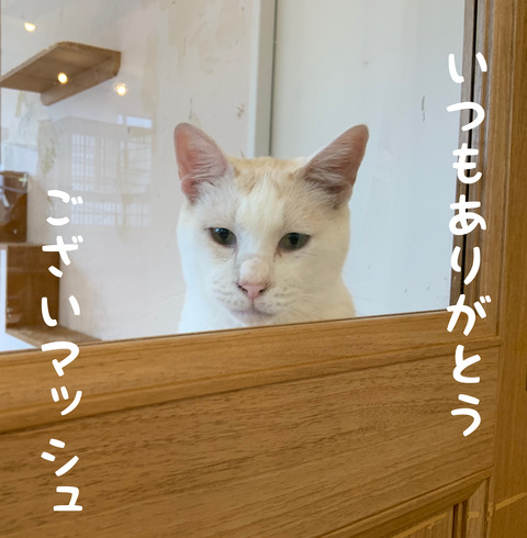 F13B4C3A-A7B3-475E-B1DC-661DDEDC8877