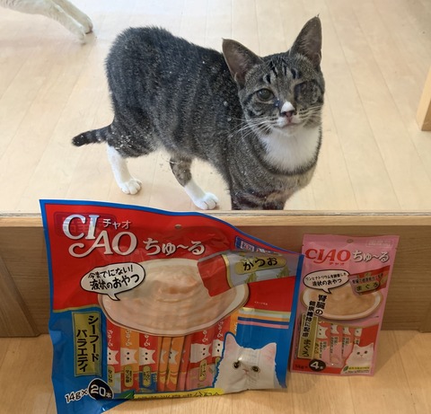 4793DF56-5B33-4A4B-BB76-001C142E1FFC