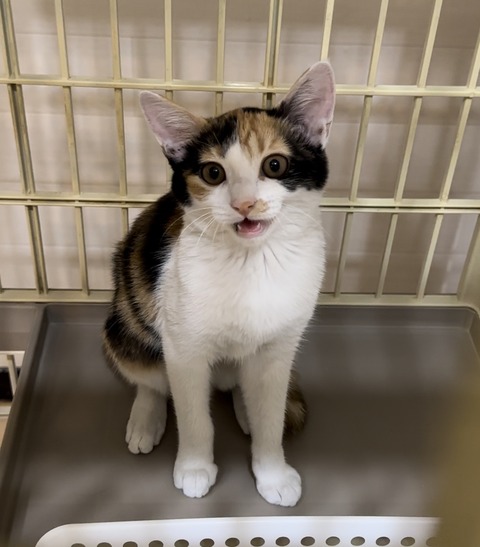 75BC04A2-BB8D-45DE-A757-FAD51DFBD612