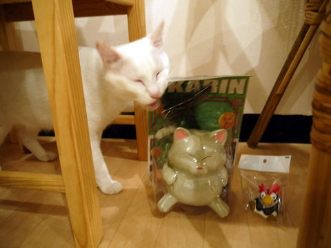 猫式ブログ～里親募集型猫カフェ