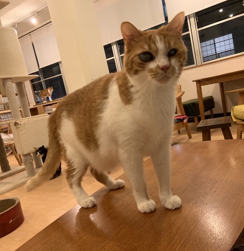 9B1BA1FA-9BC5-40BD-ADAB-5F103B5D0421