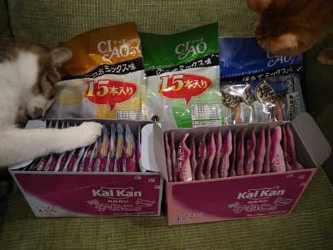 猫式ブログ～里親募集型猫カフェ