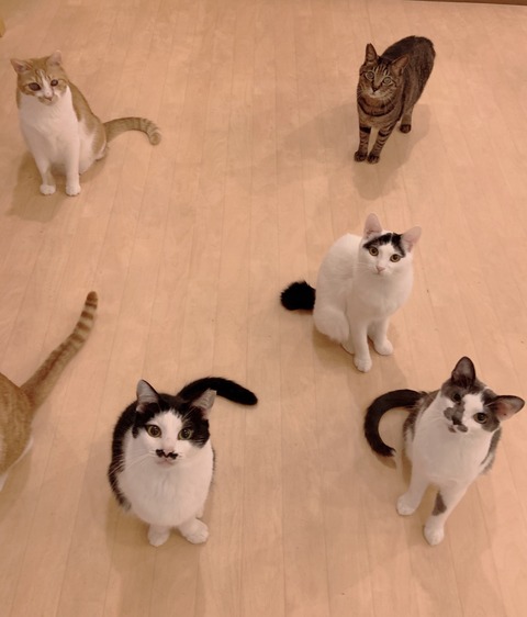 398B5237-2D27-4827-B599-E627600C50D5