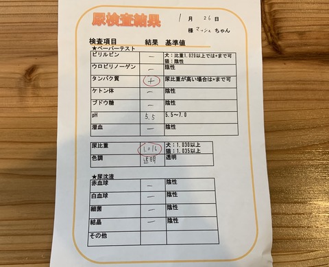 00CF94D9-2779-4C31-B634-847B7D2C1268