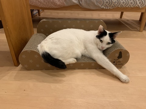 164CDC4A-DF13-497B-84B2-3A1340CB8A4C