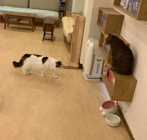 AFCCCF48-93DD-48C4-B0E7-9E2E489D7B22