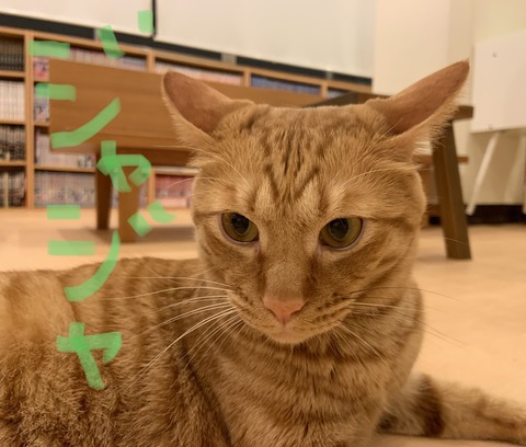 C1FB4ADF-BD20-4DAD-AF0B-4BFA78CCE4B2