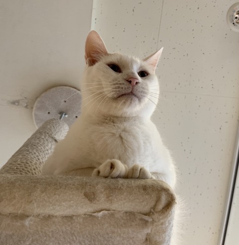 1308EA99-A35C-4BE4-B9D5-DF345F35B595