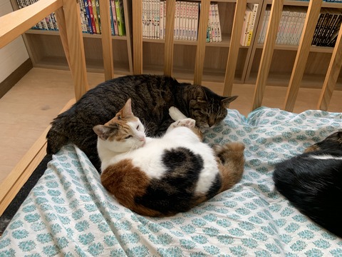 BE9ED25A-CF76-4D55-8532-4041A7117131