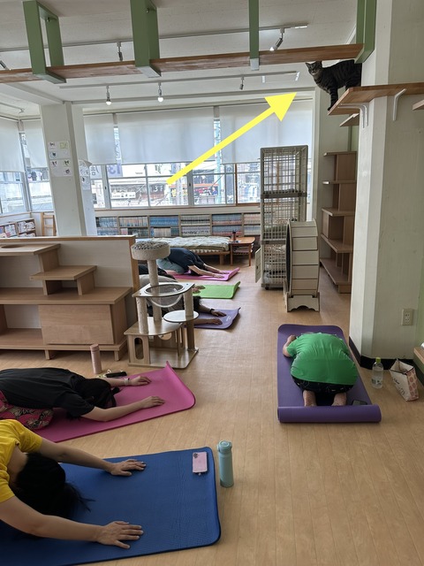 82C43E91-D0A4-4ABE-8E84-7005DDB65919