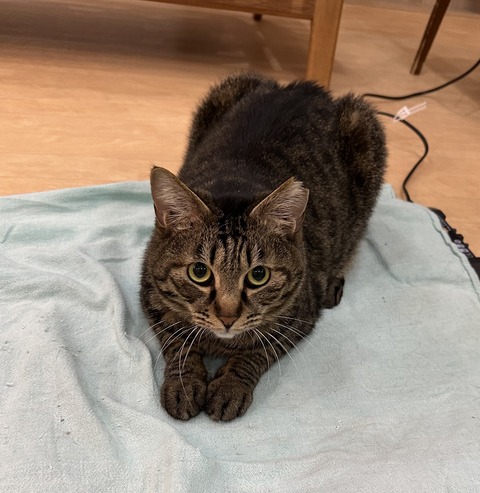 34B83903-FF41-4B85-8871-62E3D914200C