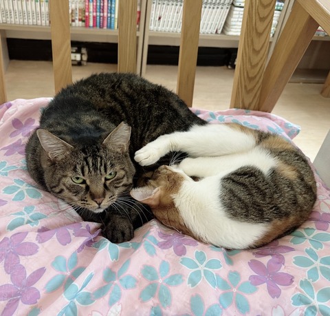 D1FF45BC-0AFC-4C1C-A105-34F901376ECD