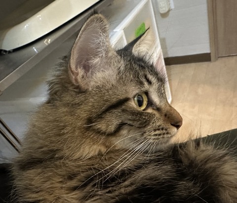 AF573859-B40F-40F2-82C9-7BCB2A154F73