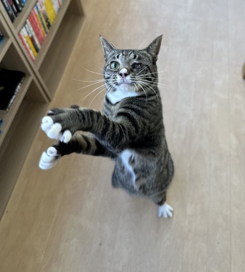 51F22F54-C952-4BE3-9FD4-BC27274054E4