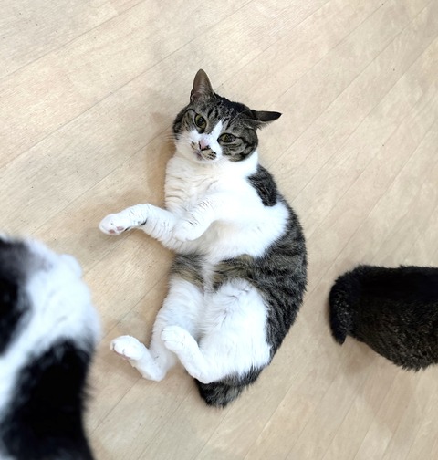 78EB20EB-38F2-4281-971E-31A7478145DB