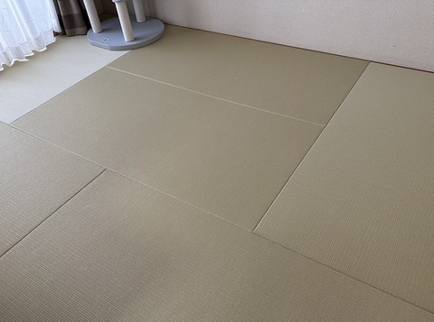 52C8C987-B2F7-428F-AB4B-39FE0627CB2E