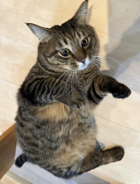 67B4AD43-61C5-472E-89DE-051AD2B188DC