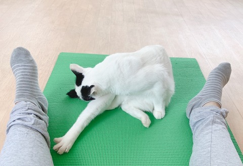 C8BCCFEB-6B56-4209-B8D3-2E815582C748