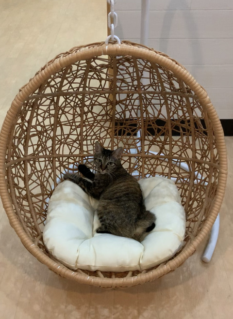 76D0515F-CA44-4E50-A09D-DDD3D6DF5959