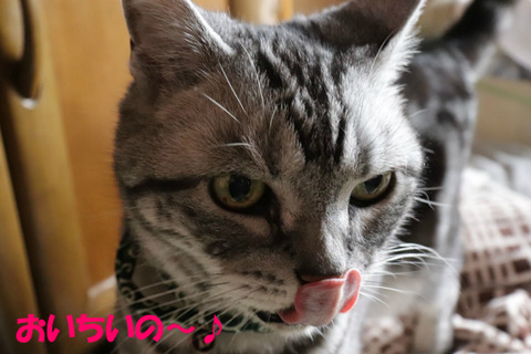 もちろんでしゅとも!