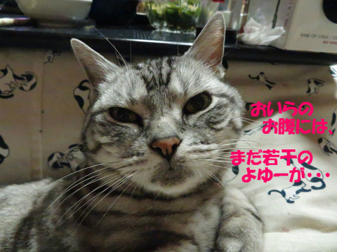 だから、くりぇ。