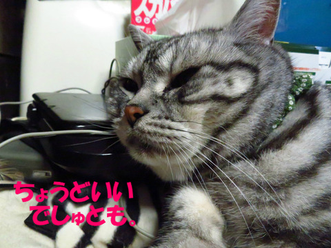 らくち~ん♪