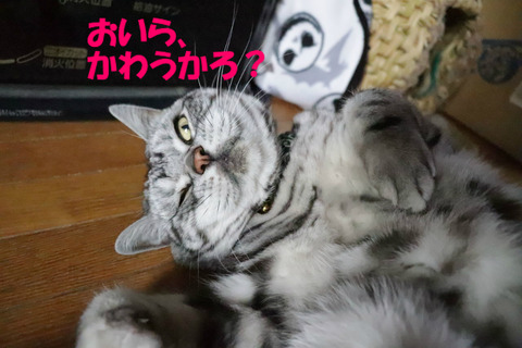 ね?