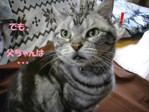 おいら、おもうに・・