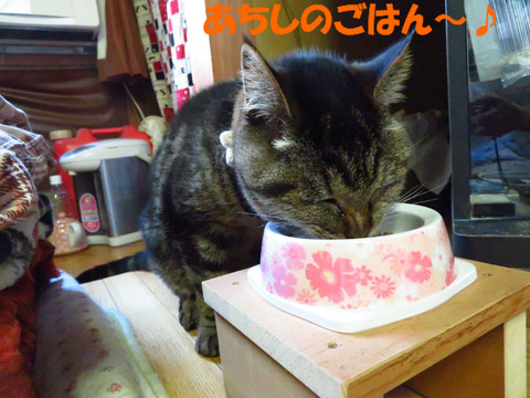 おいしい~♪