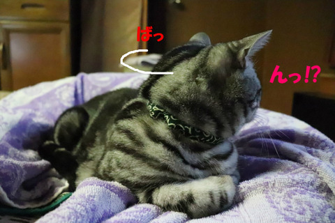 !?