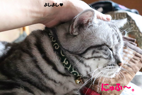 うれちいでしゅとも~♪