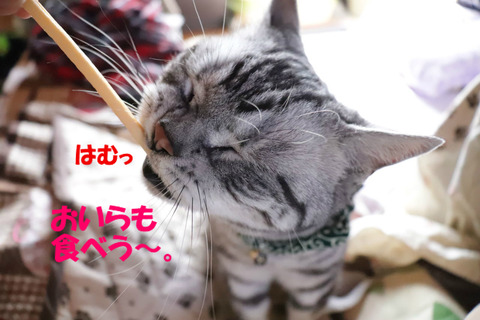いただき~♪