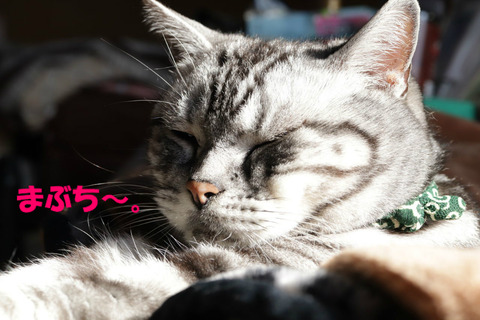 きもちうい~♪