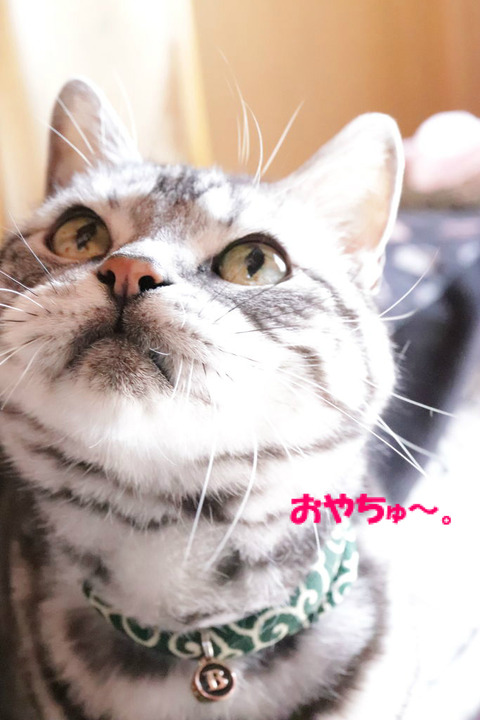 早く~。