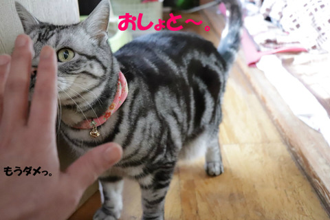おしょと出りゅ~。