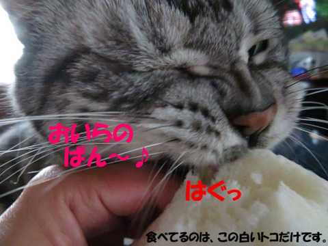 うみゃ~い。