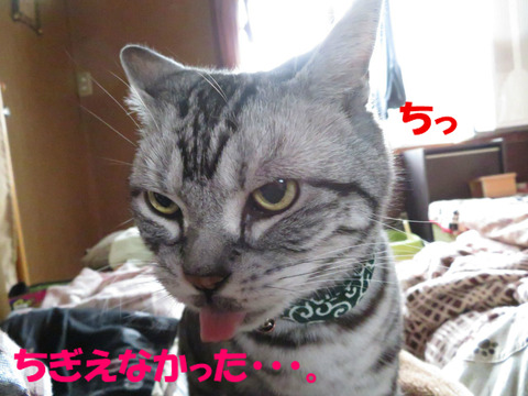 くそぅ。