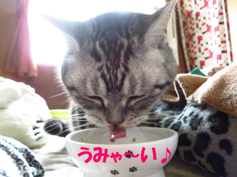 おいらのごはん~♪