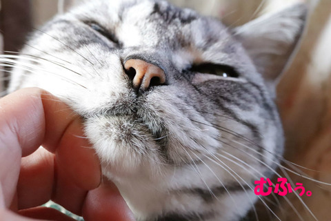きもちうい~♪