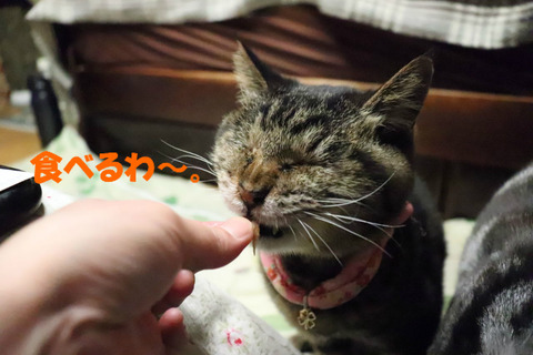 美味しいのよね~♪