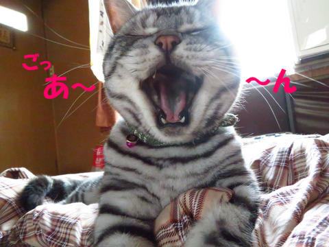まだ?